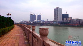 邵陽全市動員 衛冕 省衛 備戰 國衛