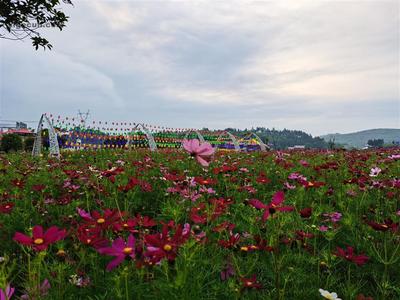 新塘村_湖南省邵陽市大祥區(qū)檀江鄉(xiāng)新塘村