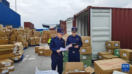 重慶國際物流樞紐園區(qū)運(yùn)行繁忙 日用品貿(mào)易活力彰顯西部樞紐地位